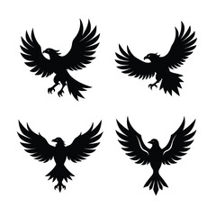 Eagle Bundile