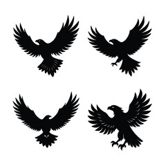 Eagle Bundile