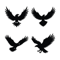 Eagle Bundile