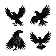 Eagle Bundile