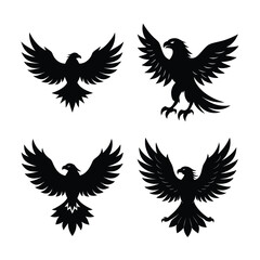 Eagle Bundile