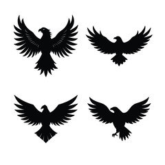 Eagle Bundile