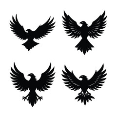 Eagle Bundile