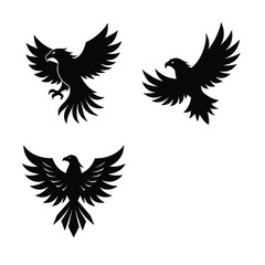 Eagle Bundile