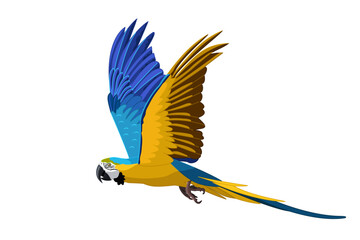 vector cartoon bird isolated on transparent background. 
