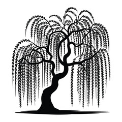 Elegant black silhouette of a weeping willow tree with cascading branches and leaves © NASRIN