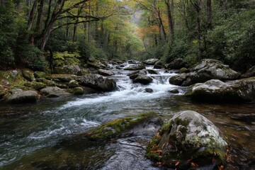 Twenty Mile Creek near its origin in the Smoky Mountains
