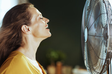 A serene woman with closed eyes and hair gently blown by an electric fan finds ultimate relief from the heat. This image captures pure comfort and refreshment during hot weather indoors.