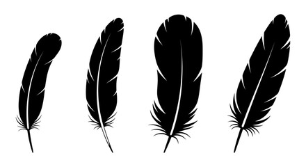 Black fluffy feather. Hand drawing vintage art realistic quill feathers for pen detailed isolated vector elegant silhouette sketch bird plume set
