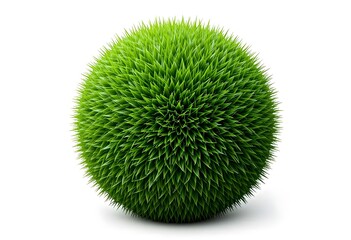 Green Grass Ball Isolated on White Background