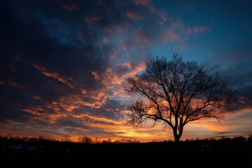 Fototapeta premium Winter evening sky with a tree