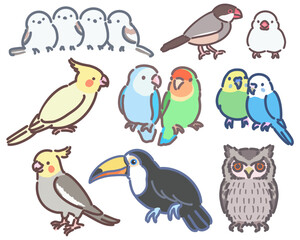 様々な種類の鳥セット