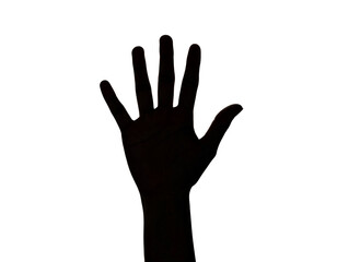 Obraz premium An open human hand extends with fingers spread, creating a striking silhouette.
