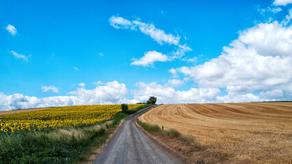 route à travers les champs sous un ciel bleu nuageux