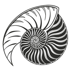 Exploring the Perfect Spiral Patterns of Natural Seashells and Their Mathematical Beauty