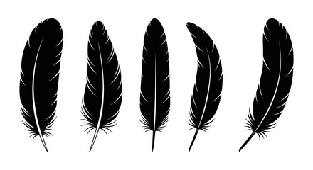 Vector Feather Icons collection. Black feather silhouette set.