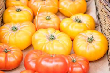 Fresh tomatoes on branch in wicker baskets. High quality photo
