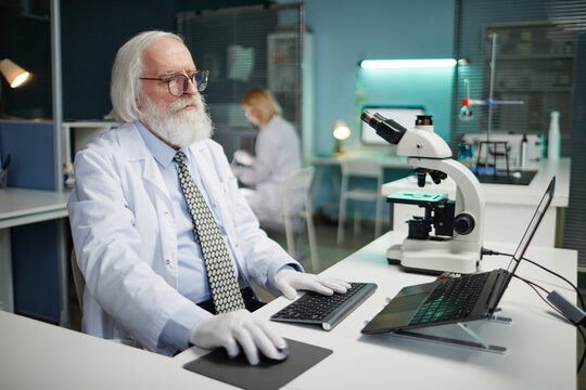 Senior Caucasian man with grey hair and beard working at computer in scientific laboratory, wearing lab coat and gloves, microscope and laptop on desk, female scientist blurred in background