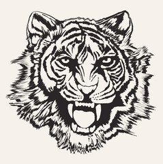 Vector Drawn Tiger Roaring Screen