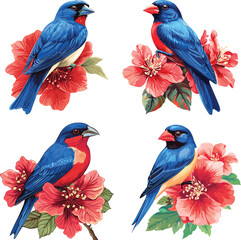 Vibrant Blue Grosbeak Perched On Lush Red Flower vector style on white background