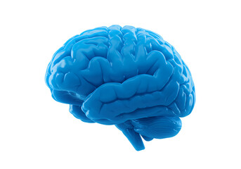 Vibrant Blue 3D Rendering of a Human Brain on Transparent Background For Medical or Scientific Use