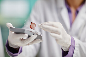 Close up on hands of Caucasian woman wearing laboratory coat and gloves holding microscope slide...