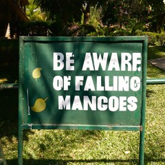 be aware of falling mangoes