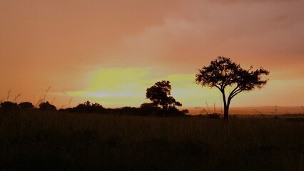 sunset in africa