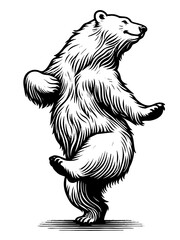 Fototapeta premium Polar bear dancing sketch engraving generative ai fictional character PNG illustration. Scratch board imitation. Black and white image.