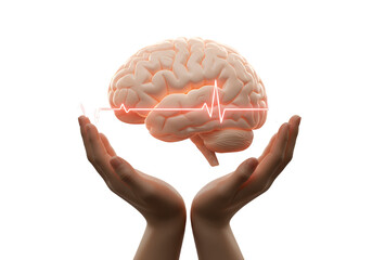 Hands Cradle Pink Brain With Red Heartbeat Line On Transparent Background Representing Brain Health and Vitality