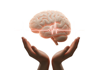 Human Brain Supported by Hands with Heartbeat Line on Transparent Background