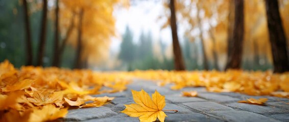 Autumn Path Serenity: An enchanting vista of a stone path winding its way through a forest, carpeted with vibrant autumn leaves. Sunlight filters through the trees, casting a warm and inviting glow.