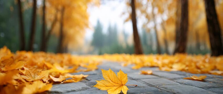 Autumn Path Serenity: An enchanting vista of a stone path winding its way through a forest, carpeted with vibrant autumn leaves. Sunlight filters through the trees, casting a warm and inviting glow.