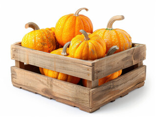 Fresh pumpkin in wooden crate isolated on white background copy space