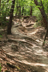 Spring scenery of Bonghwa mountain, South Korea
