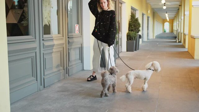 A woman leads two dogs past closed storefront doors under yellow arcades. The lighting highlights the balance in composition.