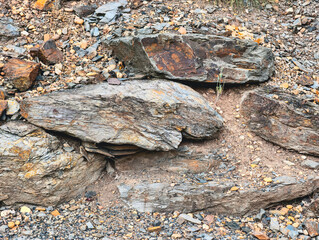 Textured Rock and Sandy Ground: High-Resolution Natural Background Perfect for Wallpapers, Eco-Friendly Marketing, Rustic Decor, and Digital Promotions - Captures Earthy Beauty and Resilience