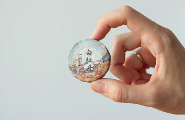 compressed chinese tea in a form of a disc held by a human hand isolated on white