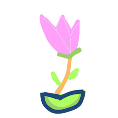 flower in a pot