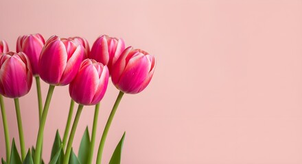 Hermosa composición de flores de primavera.