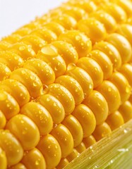Close-up of fresh yellow corn with water droplets