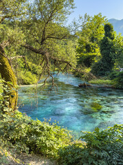 The Blue Eye is a water spring in Albania. The water is so clear that you can see al the way through to the bottom and observe the light blue bubbles rising to the surface.