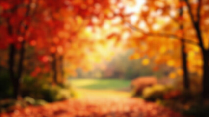 Fototapeta premium Blurry autumn scene with orange and red foliage trees and a path leading to a green clearing with sunlit background