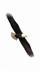 Naklejka premium Pixel Art Bald Eagle in Flight Against White Background