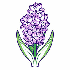 bouquet of hyacinth flower
