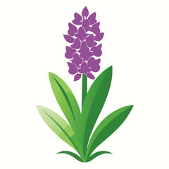 violet flower isolated on white background