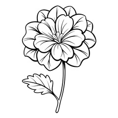 black and white flower