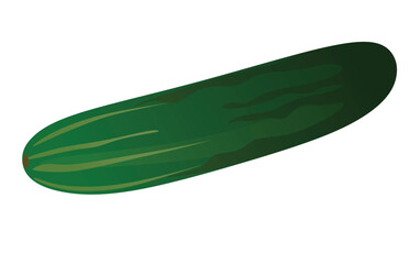 Cucumber on white background, whole and half, vector	
