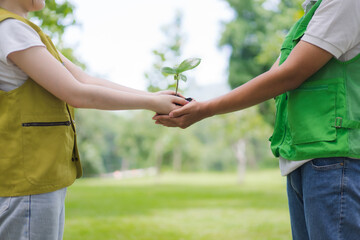 Environmental Volunteers Holding Seedling