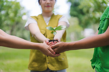 People Holding Sprout Together